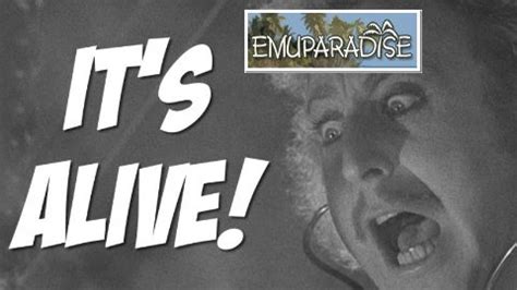 You can still download ROMS from EmuParadise – THE HACK!.